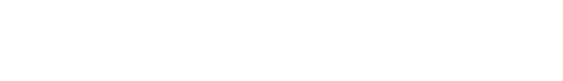 digital_solopreneur_logo